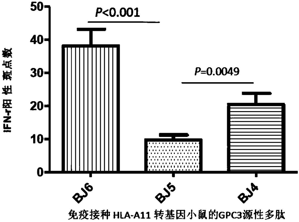 HLA-A11 restricted GPC3-derived polypeptide and vaccine containing polypeptide