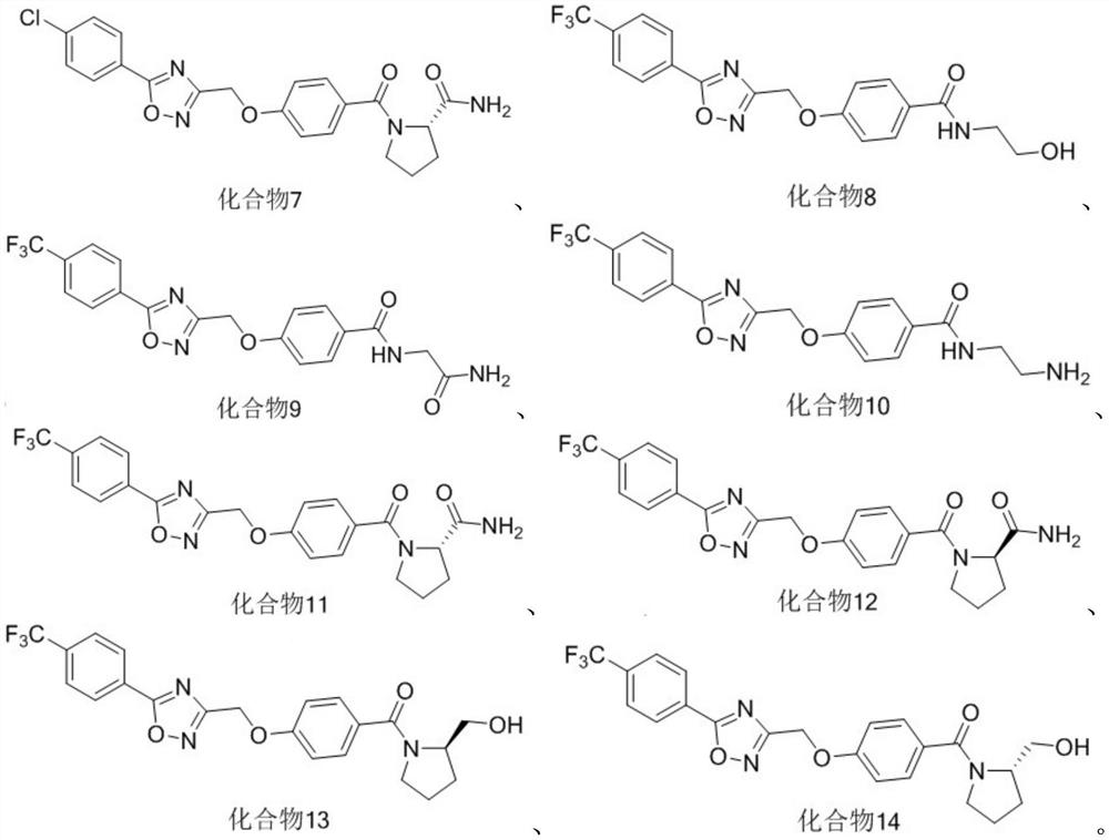 Five-membered heterocycle substituted benzamide compound as well as preparation method and application thereof