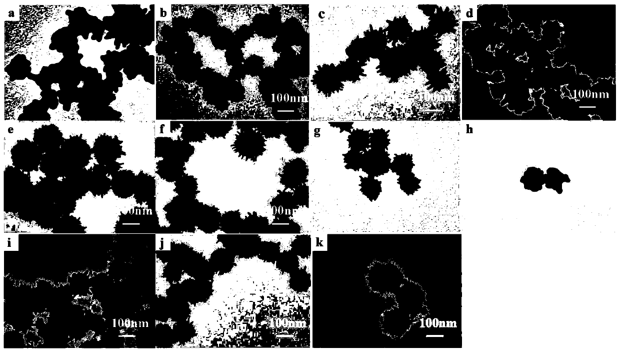 Sea-urchin-shaped gold nano particles and synthesis method thereof