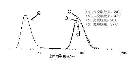 Preparation method of enzymatic cross-linking medicine carrying nano micelle