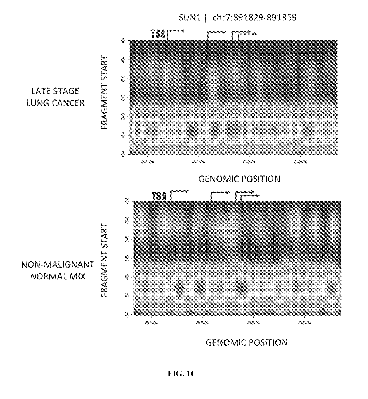 Methods for fragmentome profiling of cell-free nucleic acids