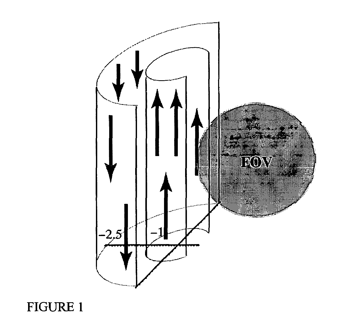 Methods and apparatus for magnetic resonance imaging in inhomogeneous fields