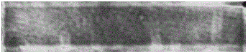 Surface shape correcting method for silicic acid yttrium-lutetium crystal