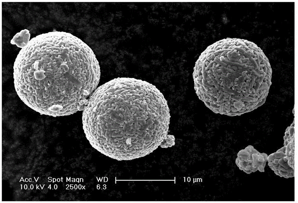 The preparation method of lithium cobalt oxide