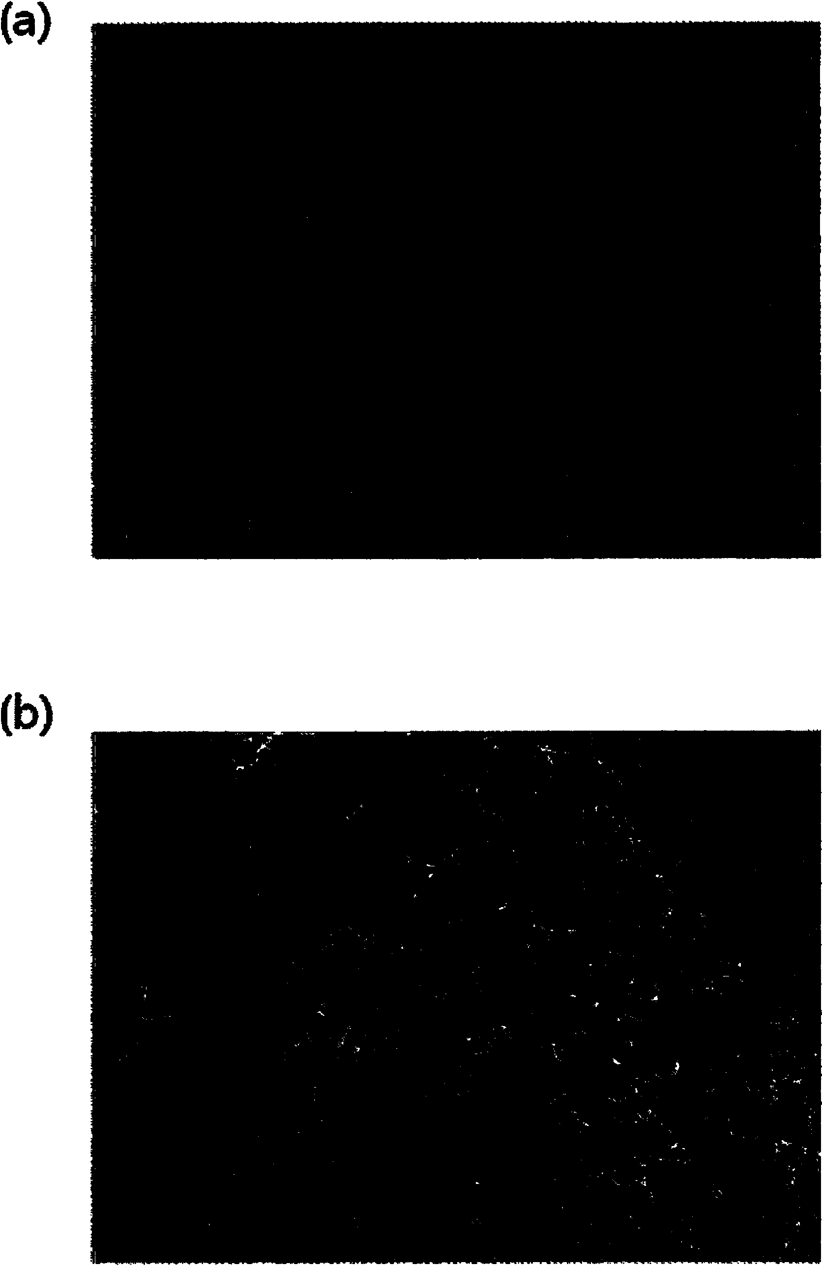 Method for preparing highly concentrated fibrinogen solution and method for preparing fibrin sealant by using thereof