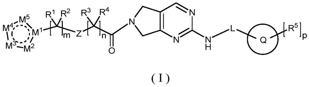 Pyrrolopyrimidine compound and application thereof