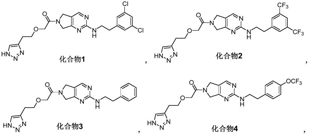 Pyrrolopyrimidine compound and application thereof