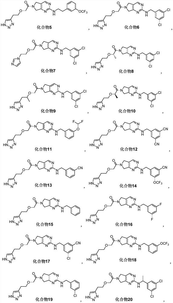 Pyrrolopyrimidine compound and application thereof