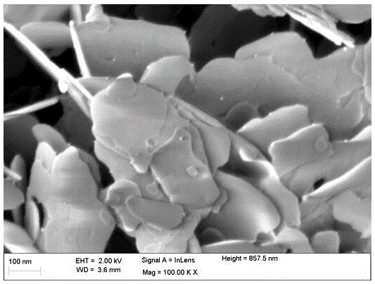 Gold-supported bismuth subcarbonate material for photocatalysis and preparation method