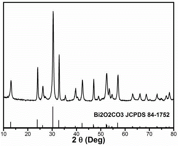 Gold-supported bismuth subcarbonate material for photocatalysis and preparation method