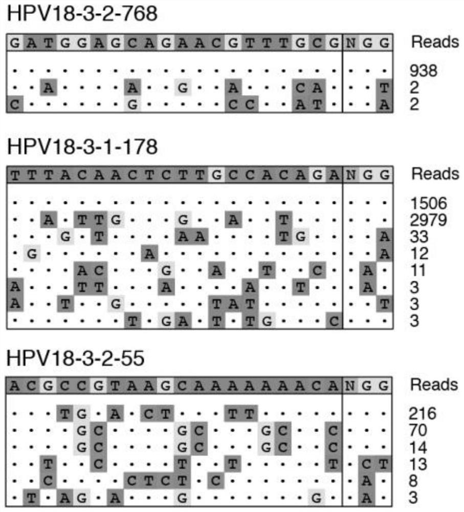 Accurate method capable of carrying out in-vivo target activity evaluation and off-target detection in batches