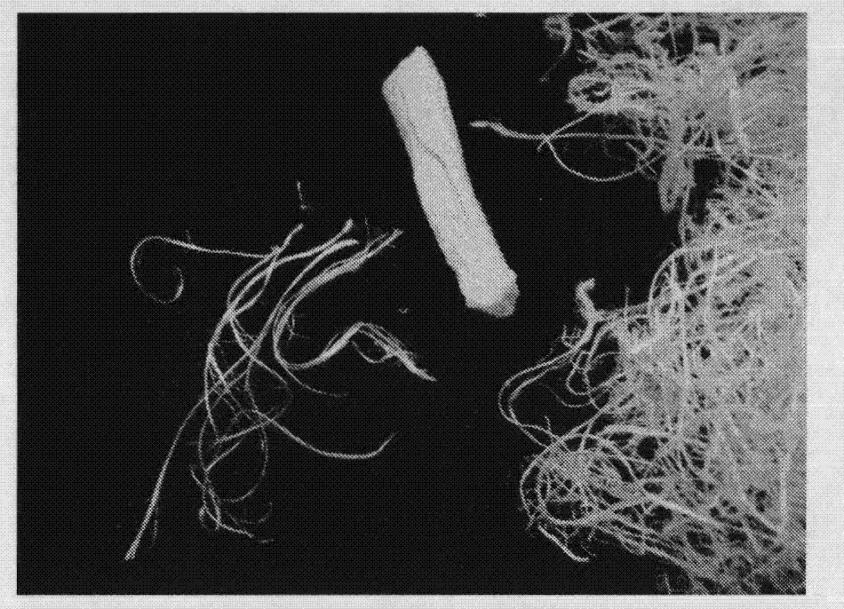 Acellular tendon or ligament collagenous fiber material and preparation method thereof