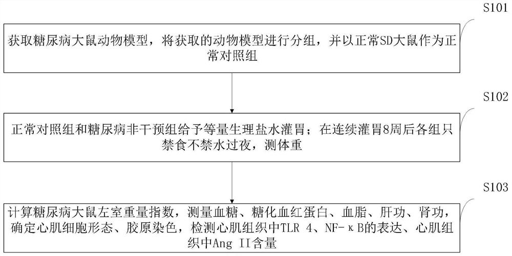 Applications of statins in preparation of drugs for treating diabetic cardiomyopathy