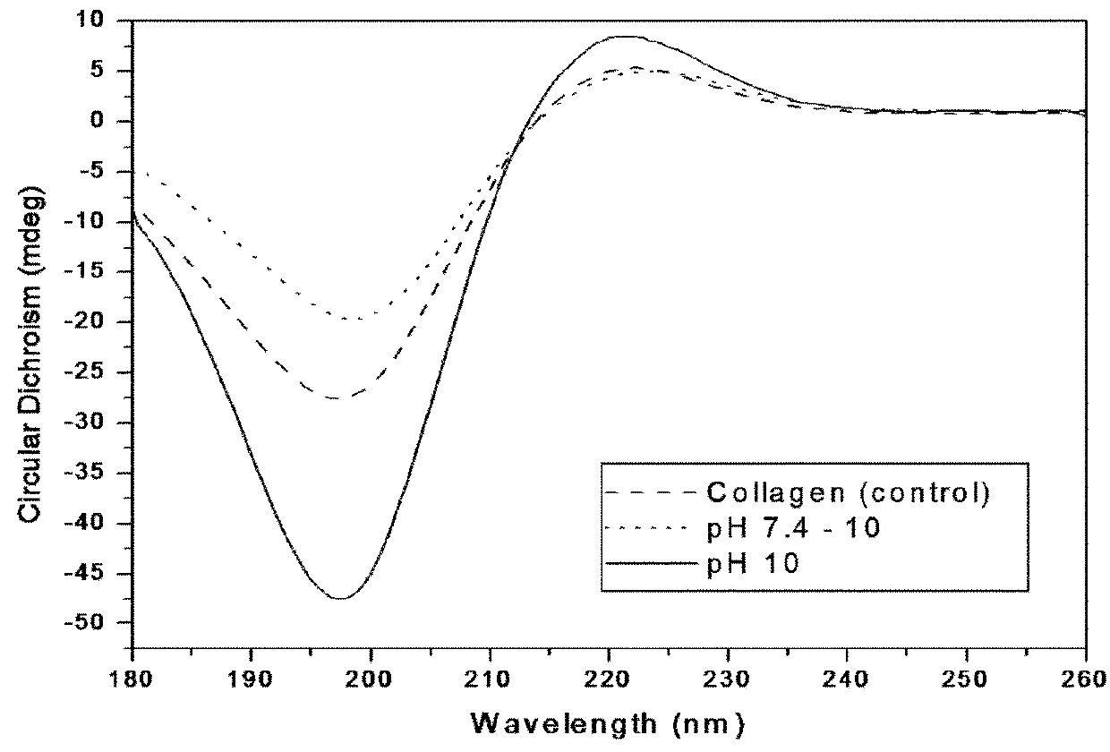 Transparent hydrogel and method of making the same from functionalized natural polymers