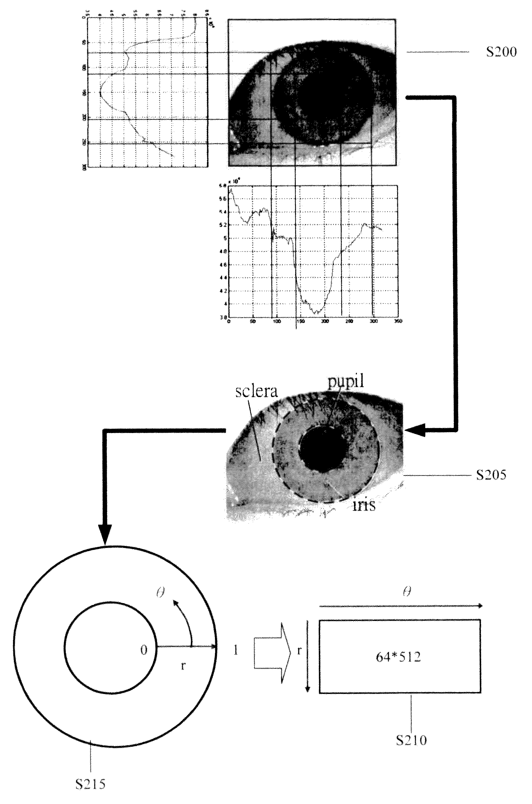 Iris recognition method utilizing matching pursuit algorithm