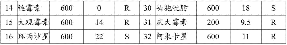 Drug for preventing and treating hippocampal head ulcer and its composition