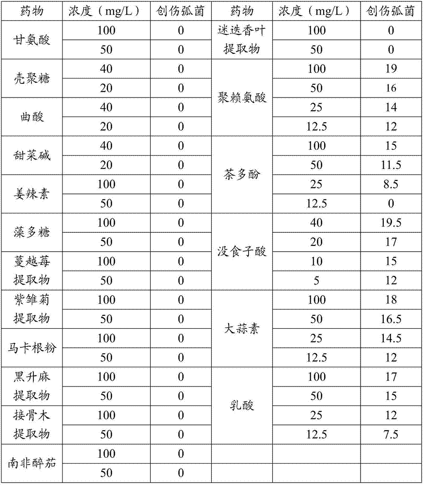 Drug for preventing and treating hippocampal head ulcer and its composition