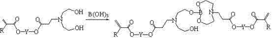 (Methyl) acrylate oxazole heterocycle borate, and preparation and application thereof