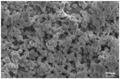 CxNy/BiVO4 material for photoanode and preparation method and application thereof