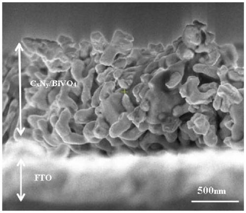 CxNy/BiVO4 material for photoanode and preparation method and application thereof