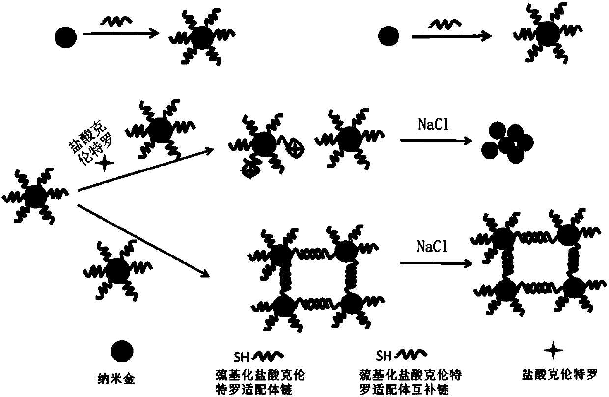 Visual detection method for clenbuterol hydrochloride