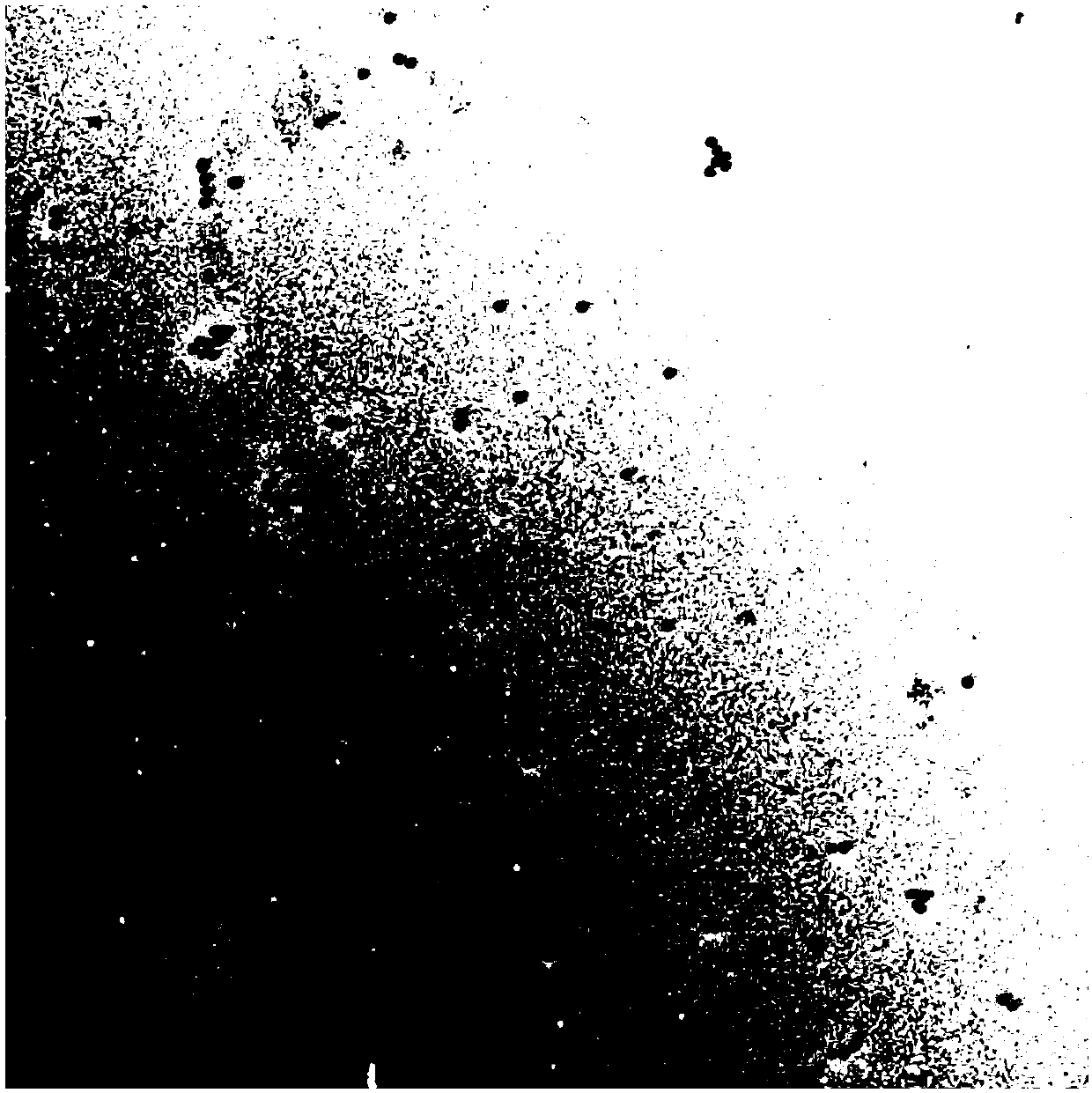 Visual detection method for clenbuterol hydrochloride