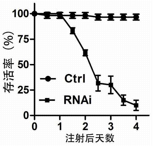 An East Asian locust atp synthase alpha subunit gene and its application in pest control