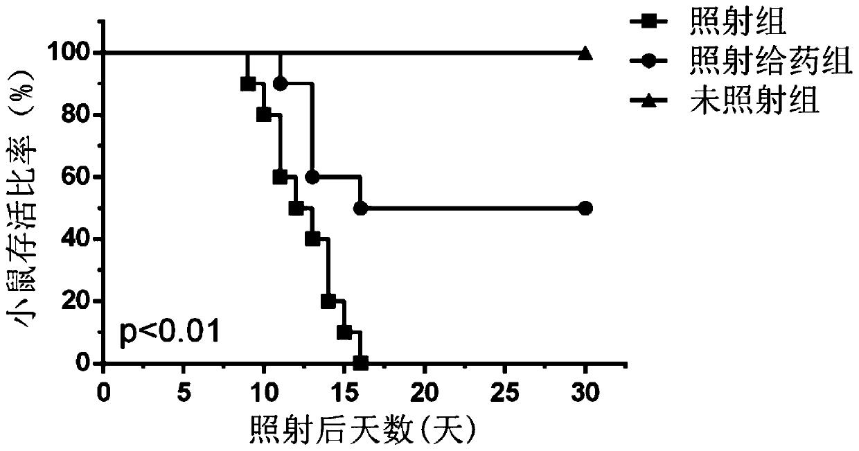 Application of Murabutide to preparation of medicine for preventing and treating bone marrow, small intestine and spleen injury caused by ionization radiation