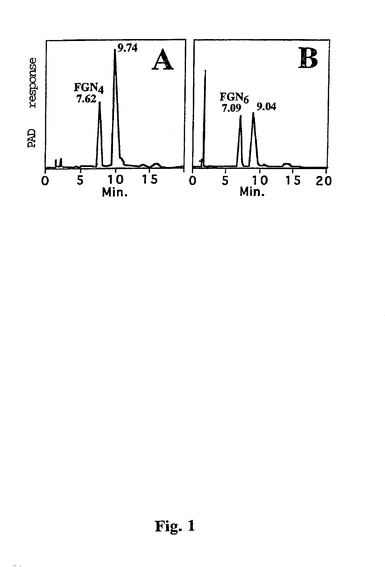 Fucosylated oligosaccharides and process for their preparation