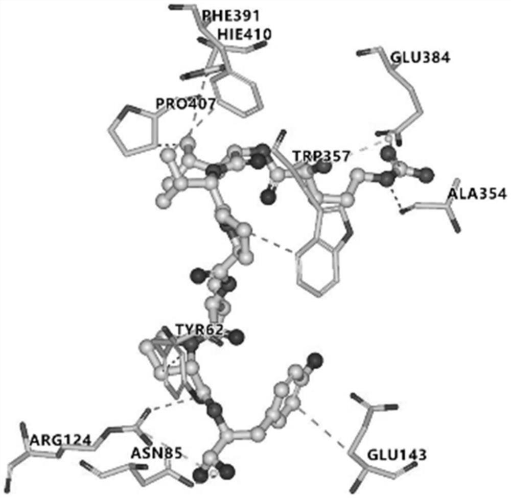 Gracilaria lemaneiformis polypeptide with antihypertensive activity, preparation method and application