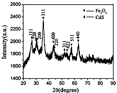 Ferroferric oxide/carbon/cadmium sulfide composite nano material and preparation method thereof
