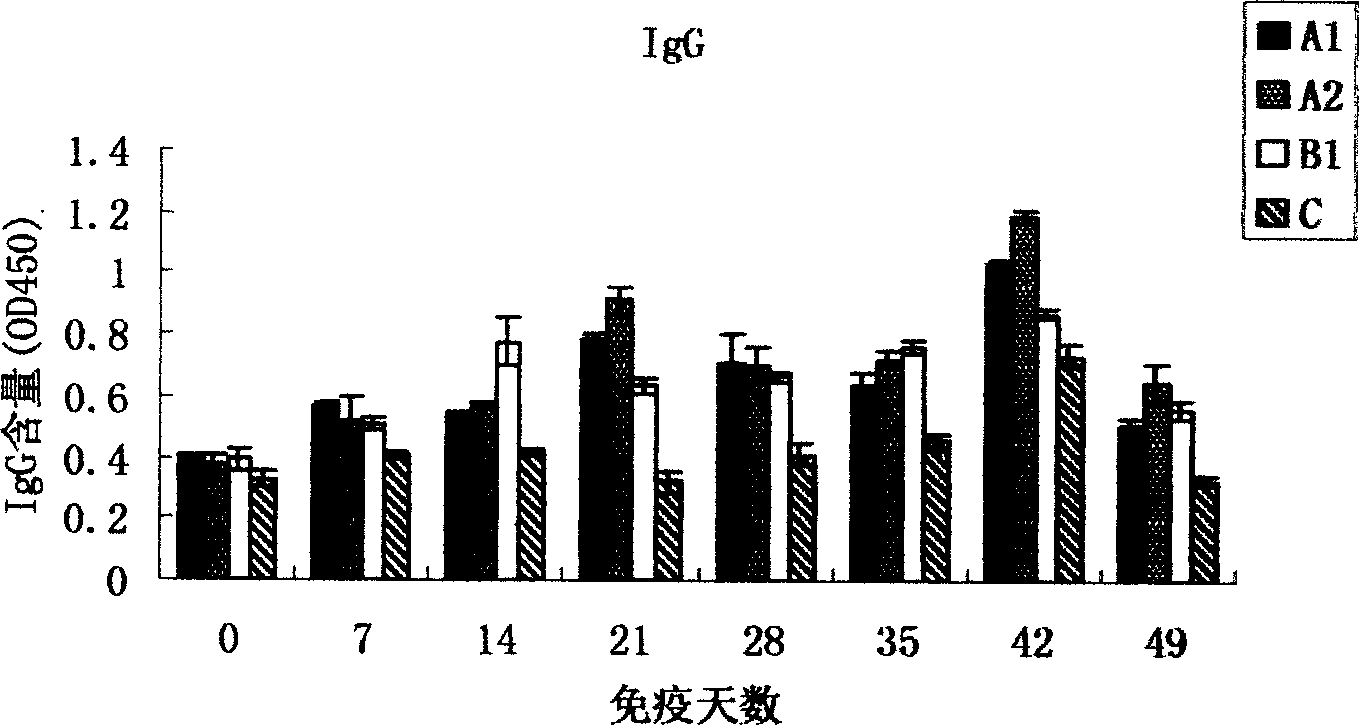 Preparation of anti-infection CpG oligonucleotide DNA preparation and its application technology