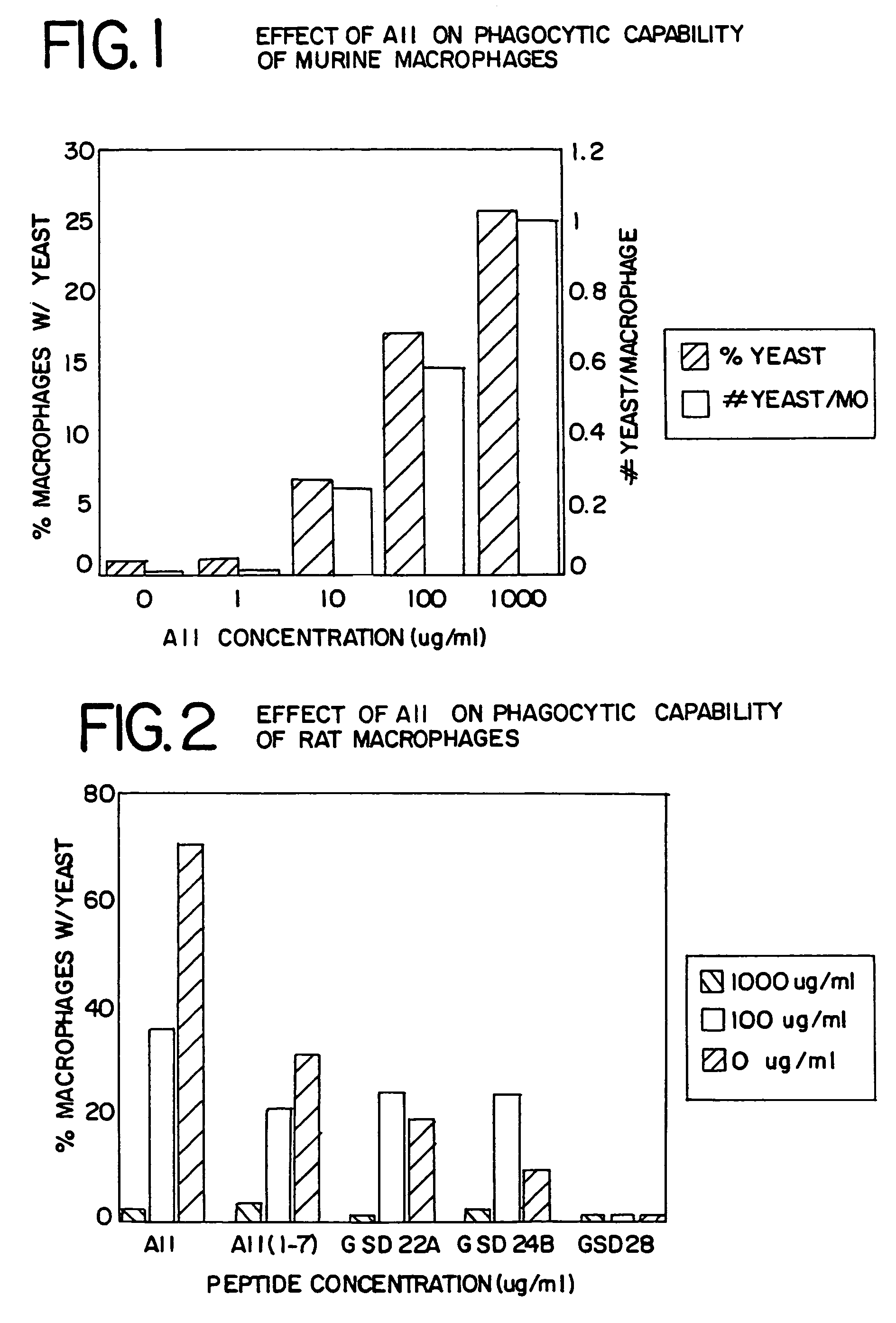 Methods of promoting hematopoietic and mesenchymal cell proliferation and differentiation