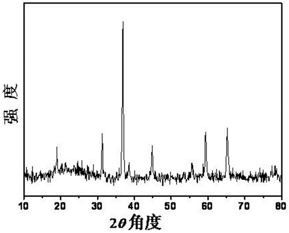 A kind of preparation method of porous tricobalt tetraoxide nanobelt