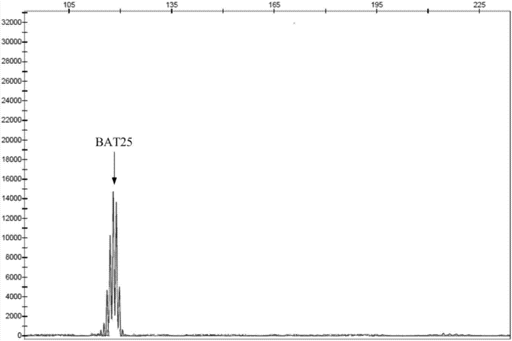Multiple-fluorescent PCR (polymerase chain reaction) amplification reagent and kit for detecting instability of microsatellite