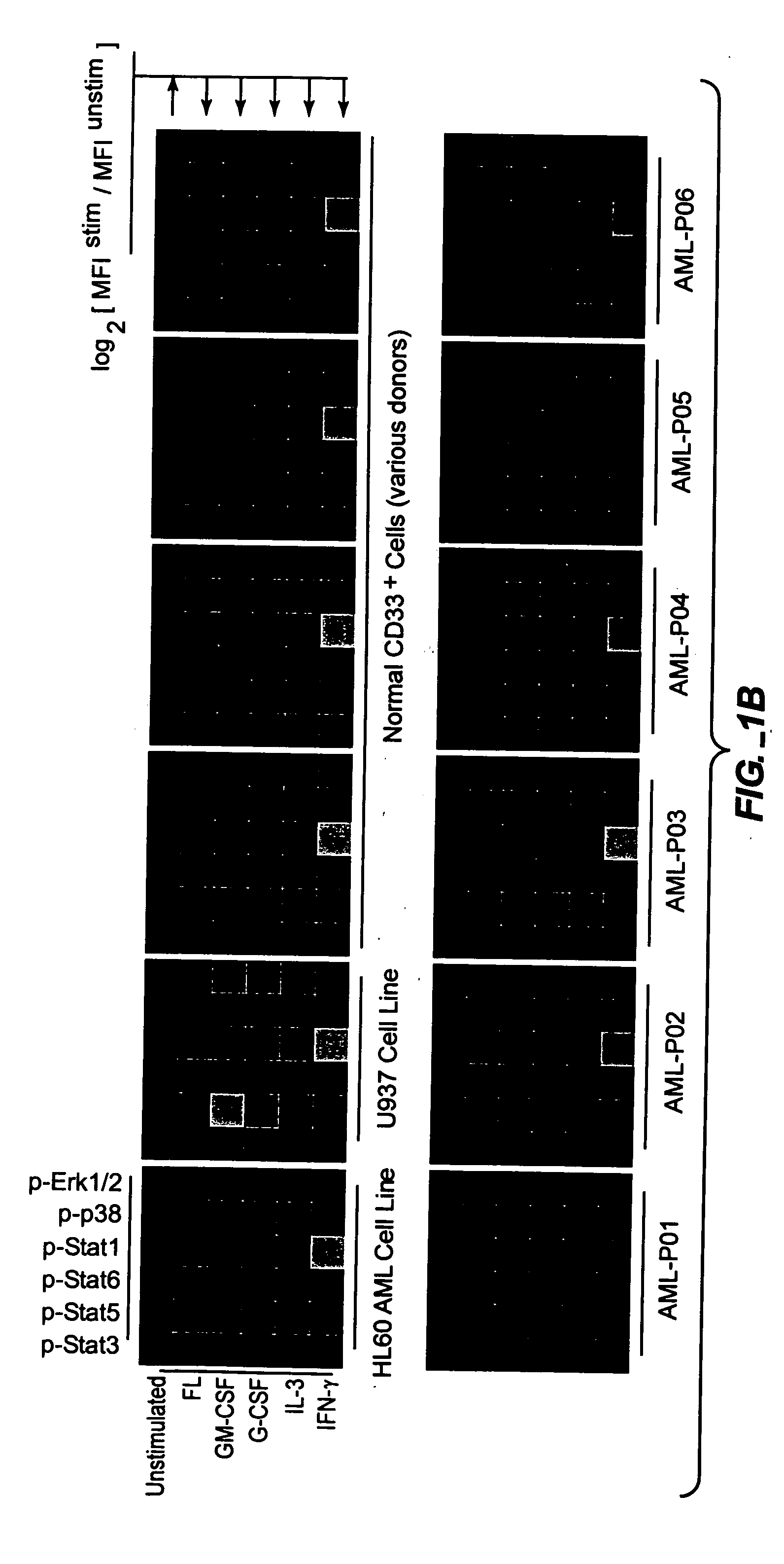Methods and compositions for risk stratification