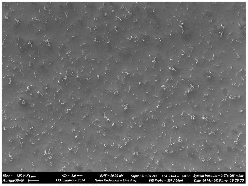 Method for testing SEM and TEM by collecting fine particulate matters through TGDSC