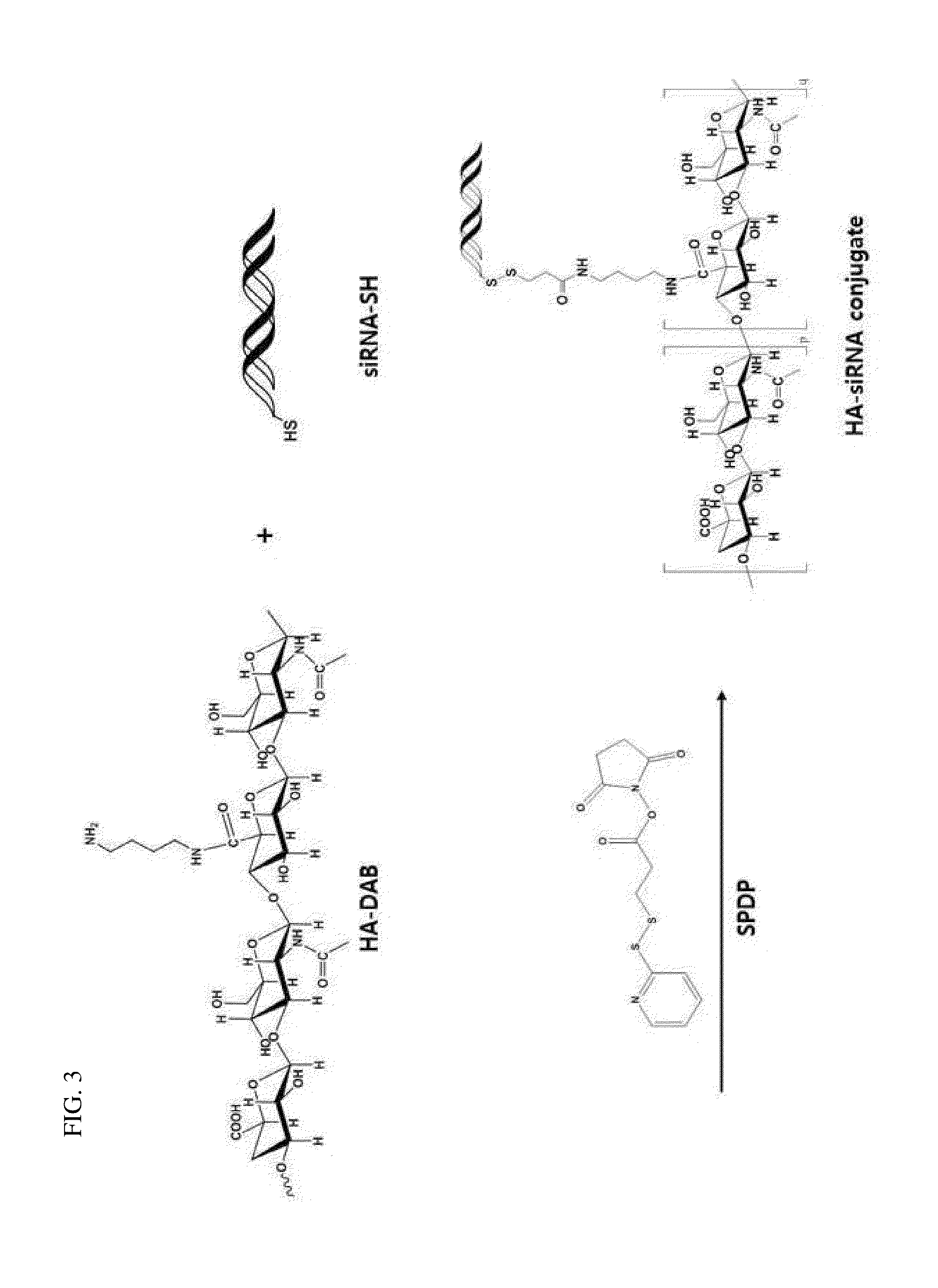 Hyaluronic acid-nucleic acid conjugate and composition for nucleic acid delivery containing the same