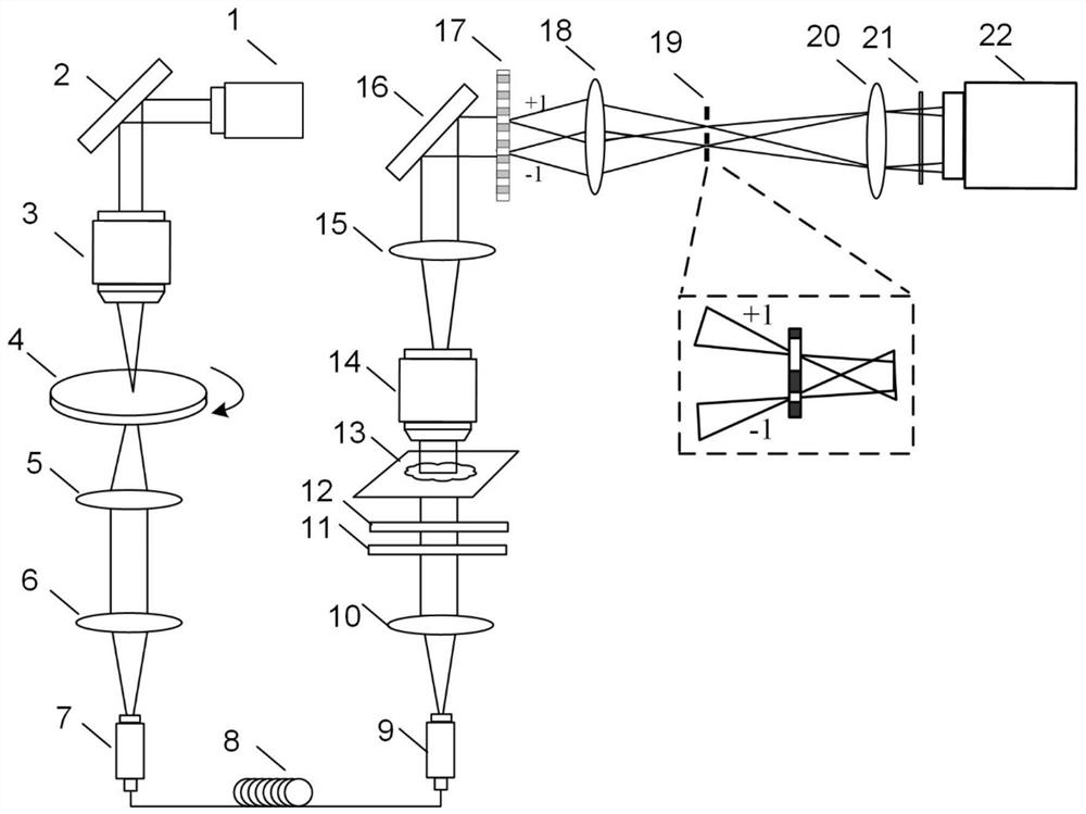 Point diffraction digital holographic microscopy device based on multimode fiber