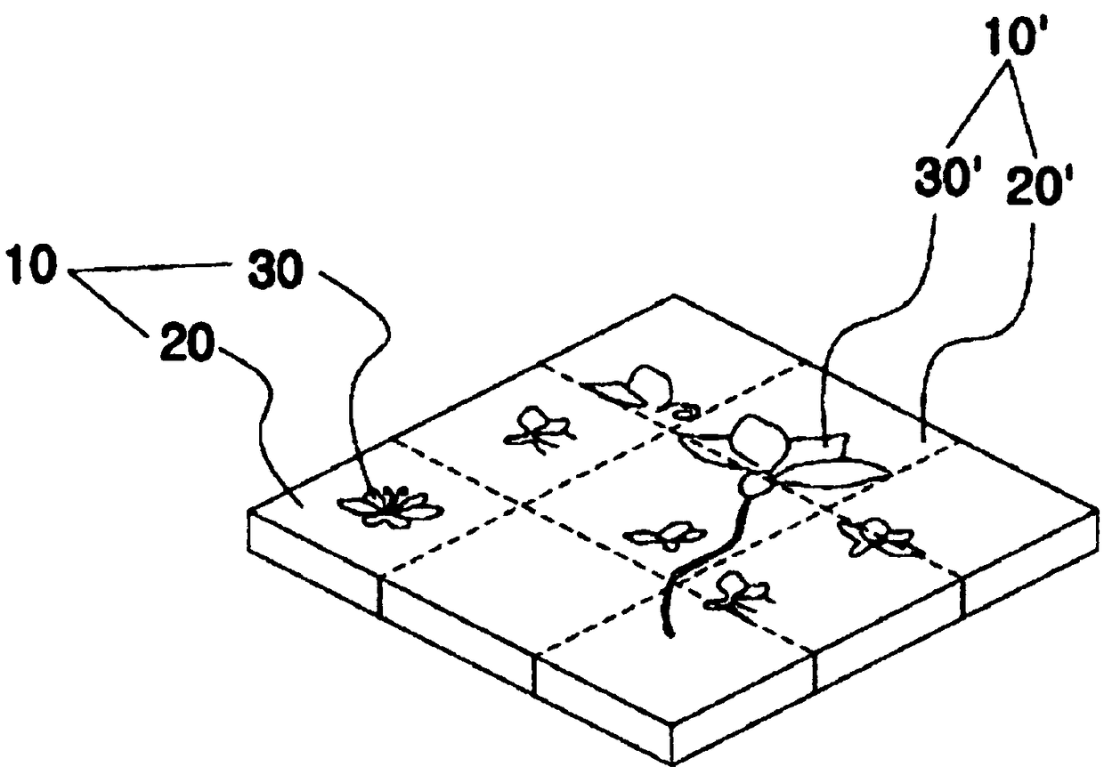 Functional image tile and manufacturing method therefor