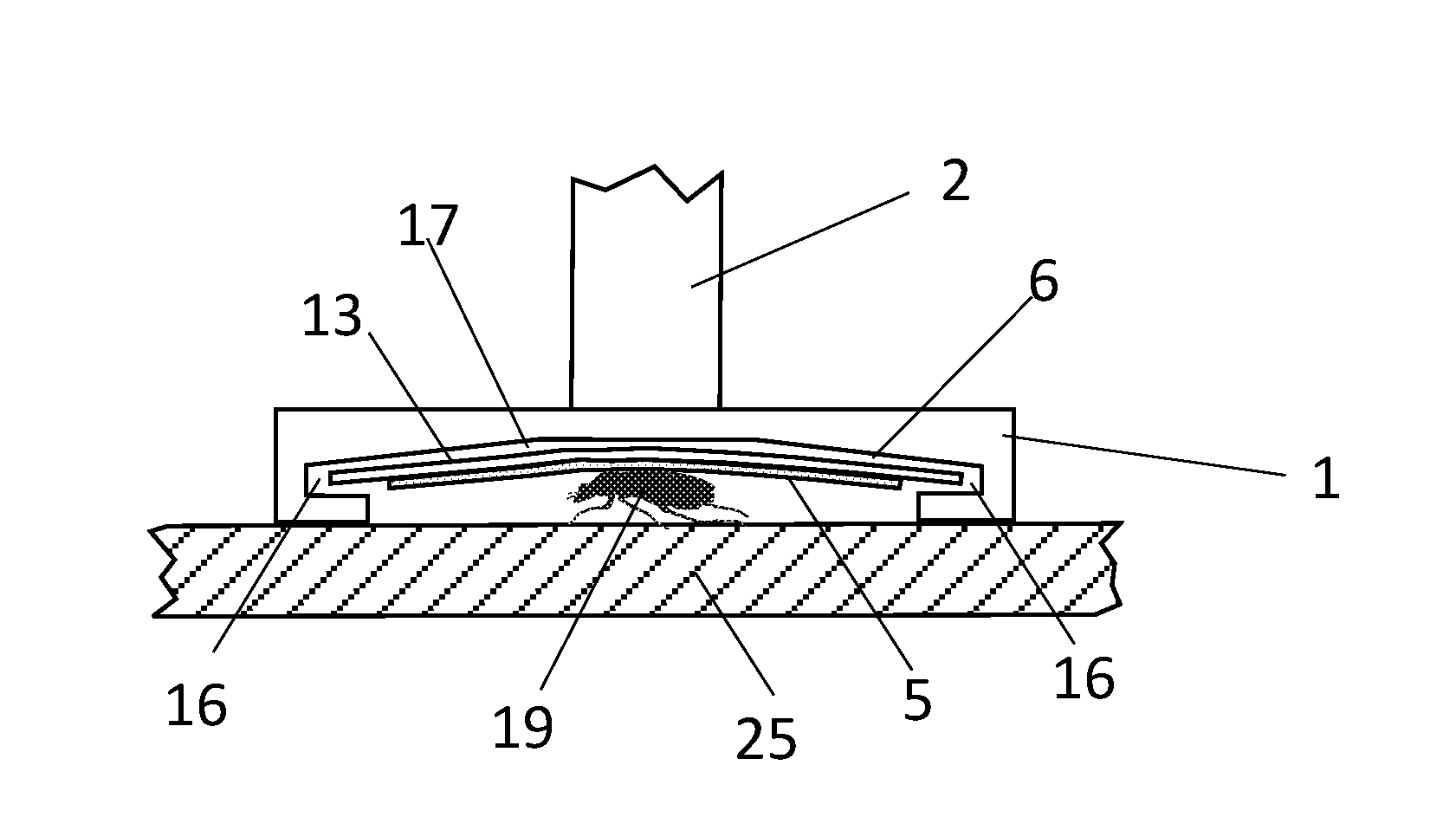 Insect capture device and system