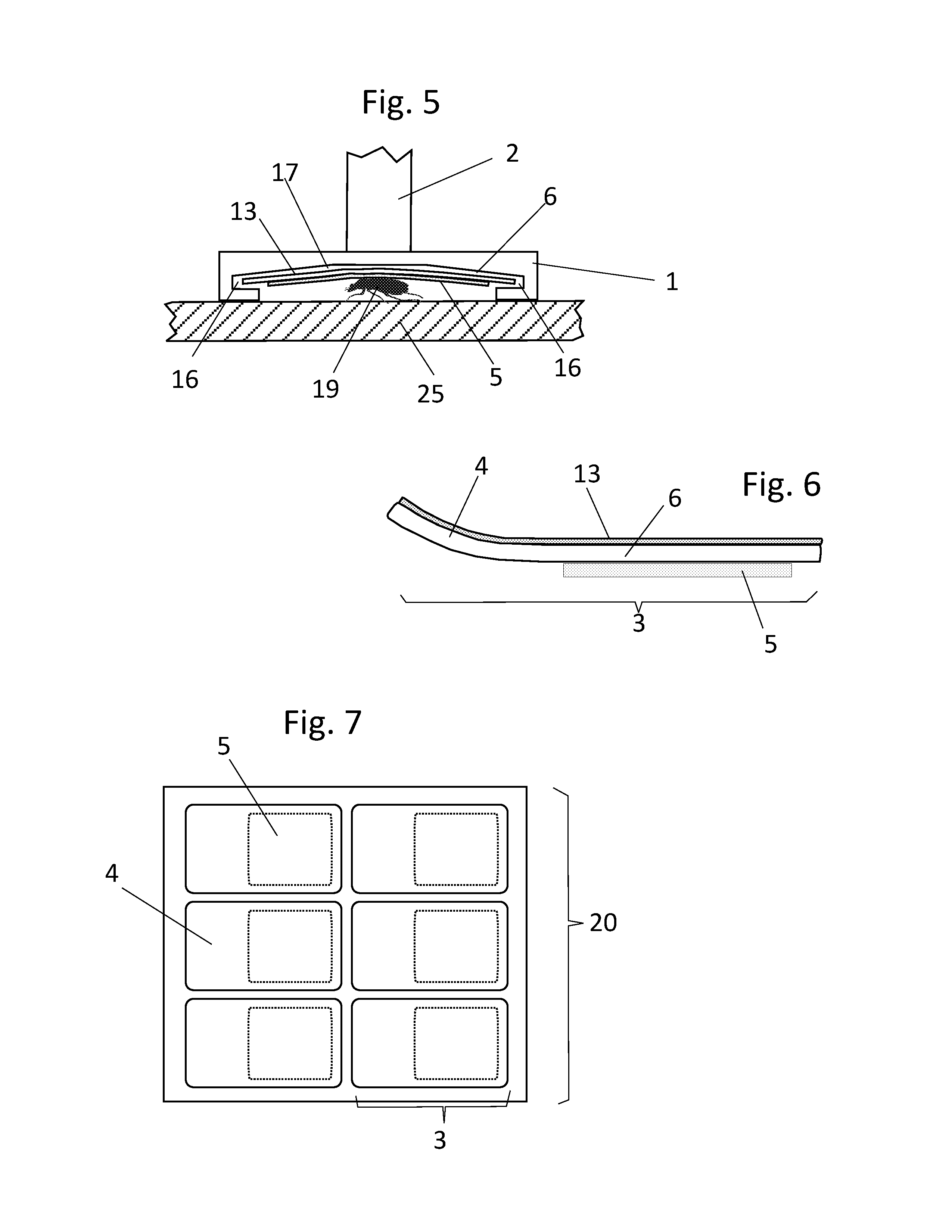 Insect capture device and system