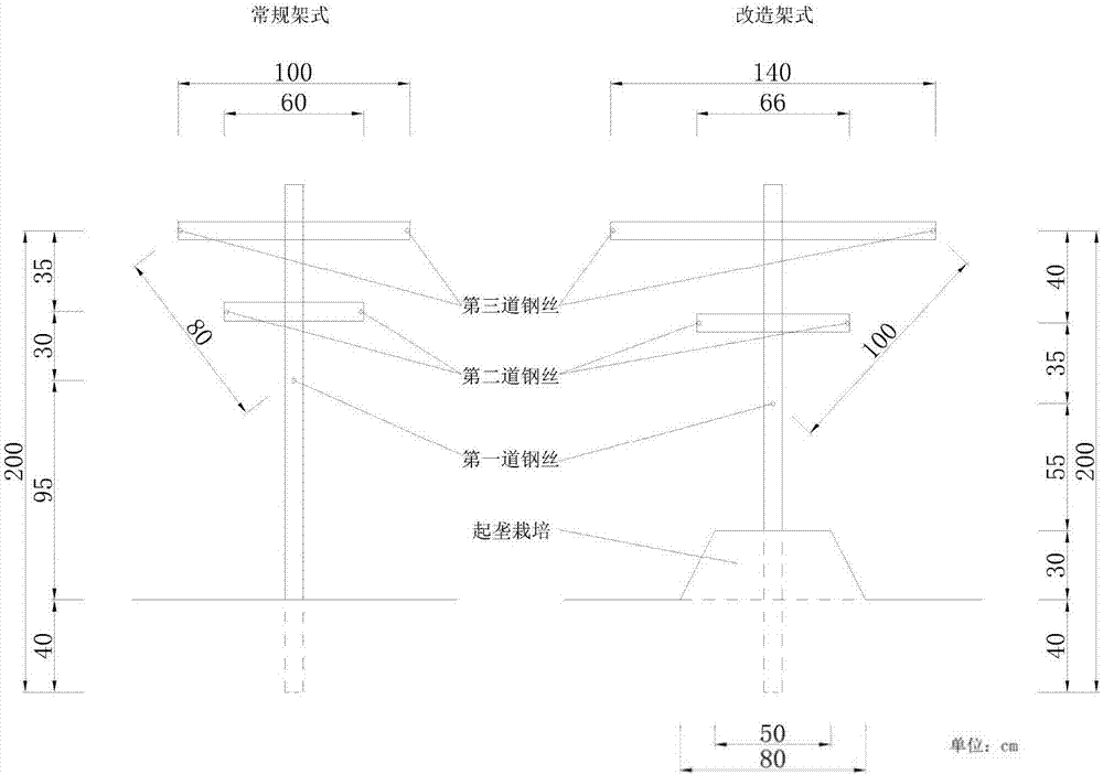 Anti-season cultivation method of fresh grapes