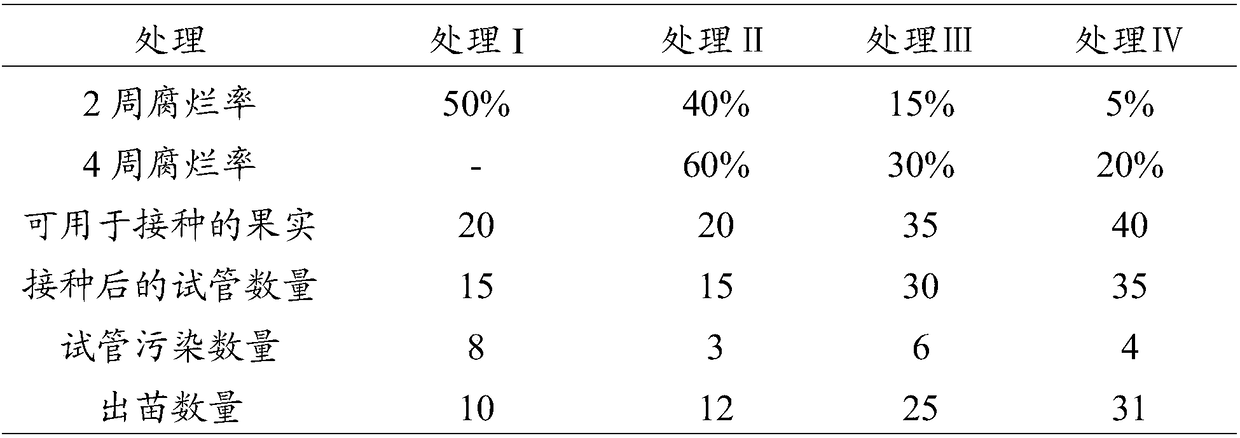 Obtaining method of nectarine inoculation embryo