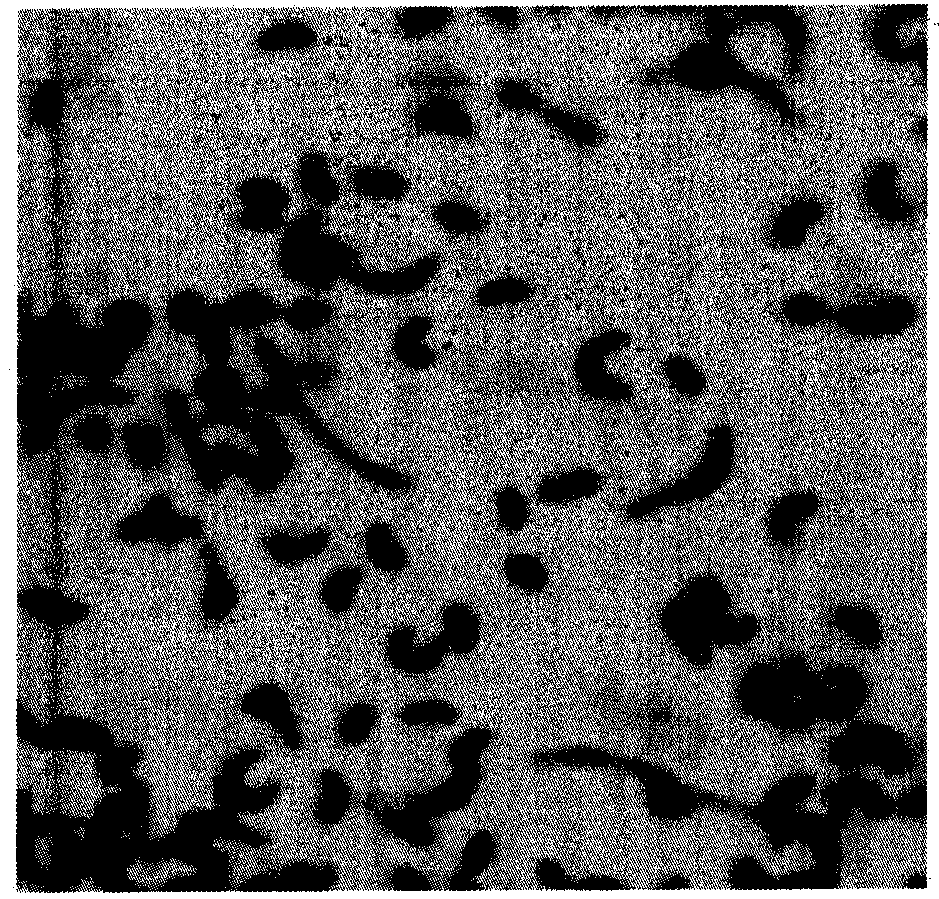 A kind of coenzyme q10 fermentation process and control strategy