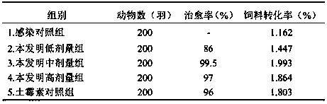 Traditional Chinese medicine composition for treating pullorum disease and preparation method thereof