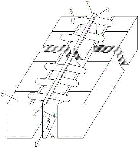 Automatic feeding device for bamboo rats