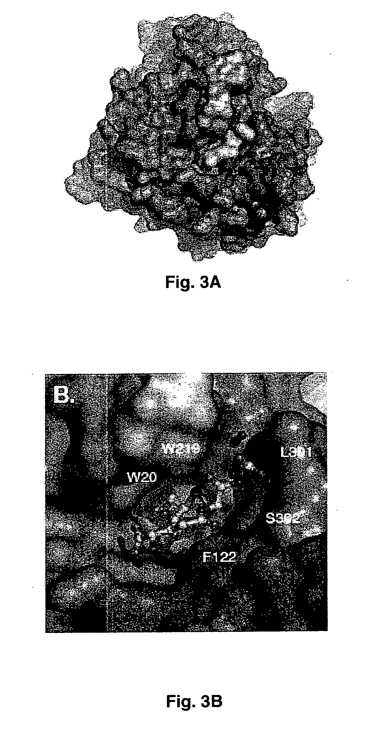 Structural-based inhibitors of the glutathione binding site in aldose reductase, methods of screening therefor and methods of use