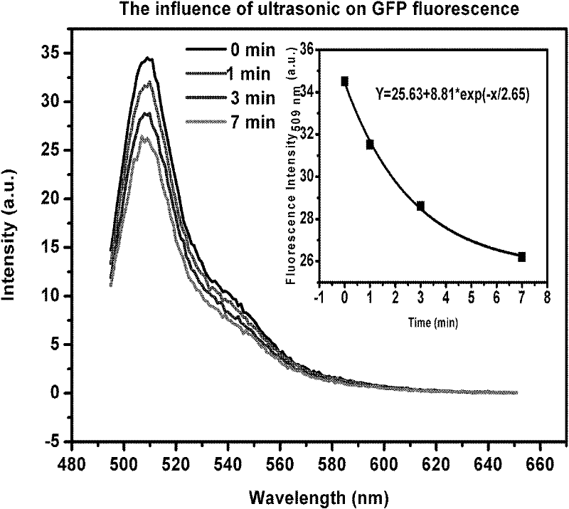 Method for measuring cellular oxidative stress damages under ionizing radiation by using fluorescent protein as fluorescence probe