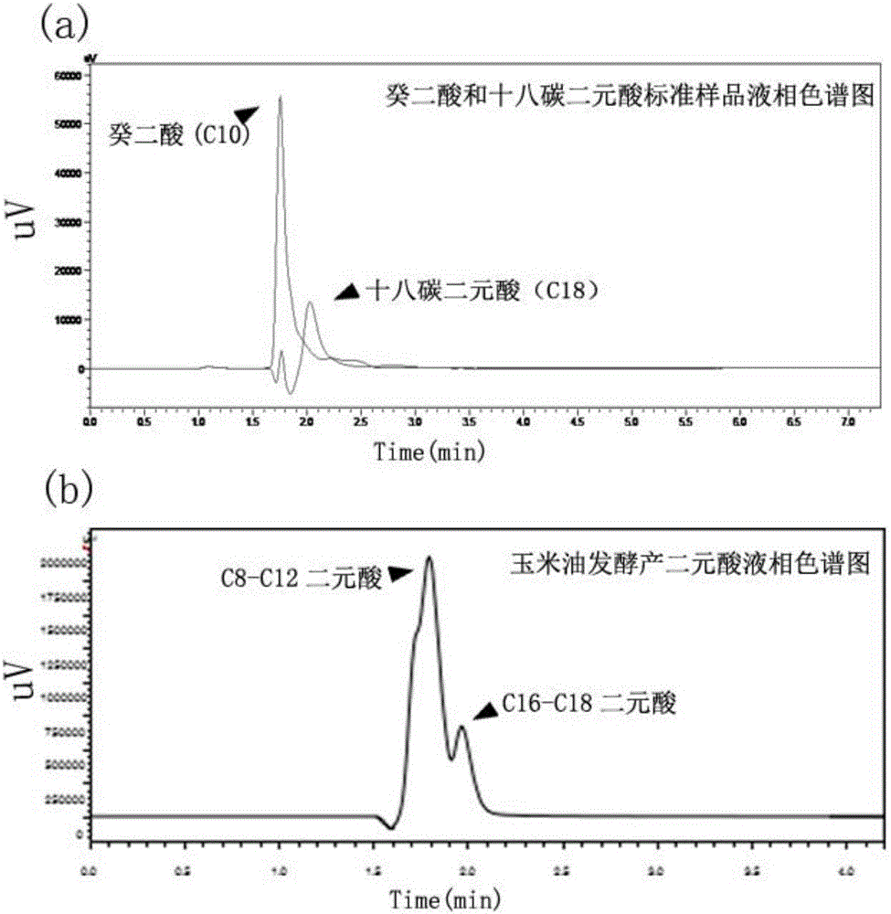 Application of candida tropicalis to preparation of dodecanedioic acid by utilizing unsaturated grease